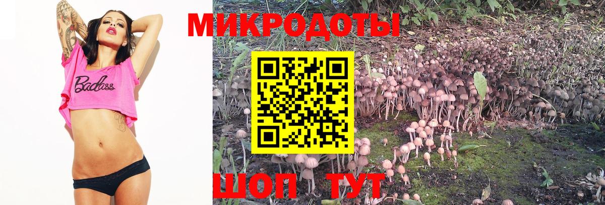 Псилоцибиновые грибы прущие грибы Каменск-Шахтинский